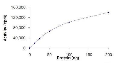 Functional Studies - Recombinant mouse HIPK2 protein (AB125553)