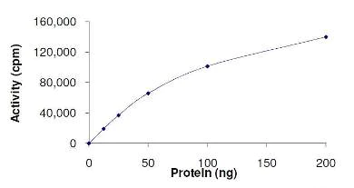 Functional Studies - Recombinant mouse HIPK2 protein (AB125553)