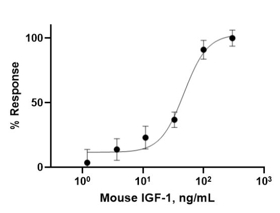 Functional Studies - Recombinant mouse IGF1 protein (Active) (AB280348), expandable thumbnail
