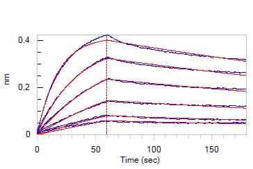 Biological Activity - Recombinant Mouse IgG2a protein (Fc fragment) (AB179982)