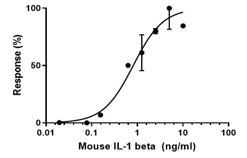 Functional Studies - Recombinant mouse IL-1 beta protein (Active) (AB259421), expandable thumbnail