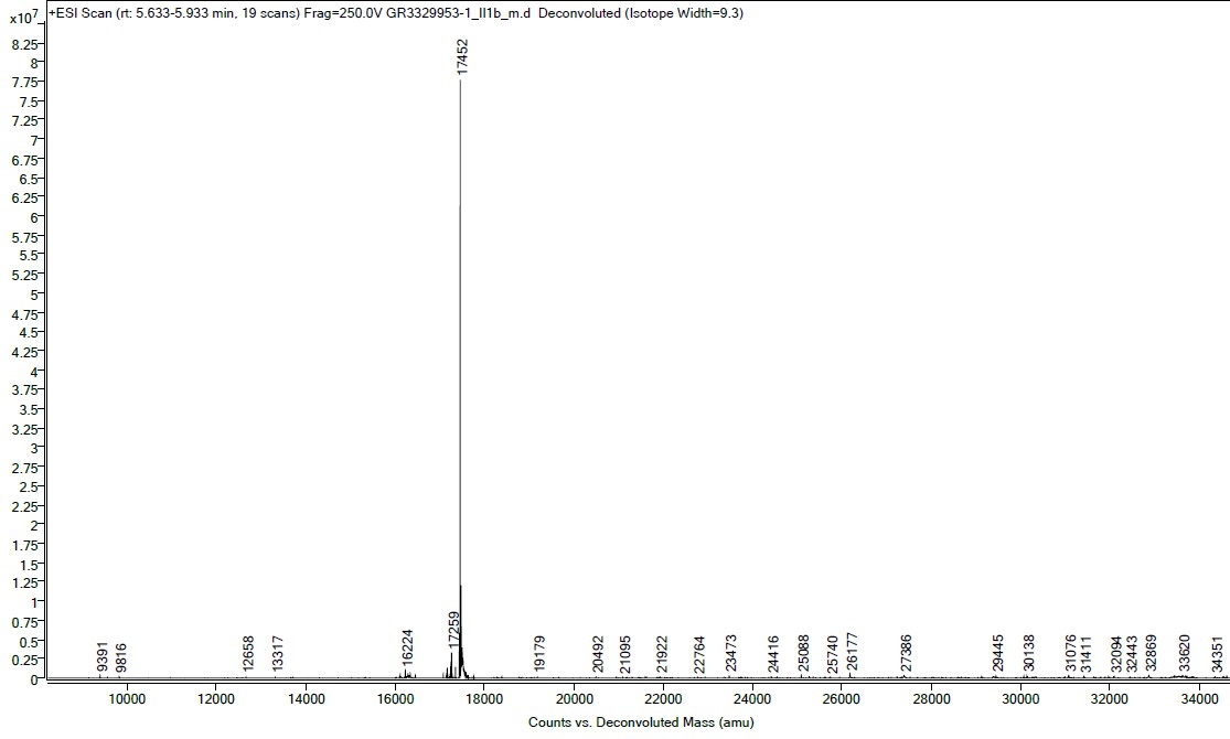 Mass Spectrometry - Recombinant mouse IL-1 beta protein (Active) (AB259421), expandable thumbnail
