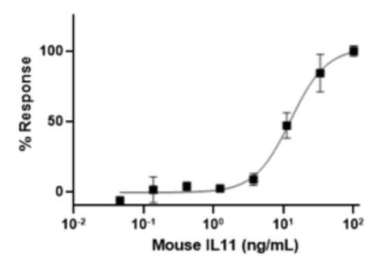 Functional Studies - Recombinant mouse IL-11 protein (Active) (AB281802), expandable thumbnail