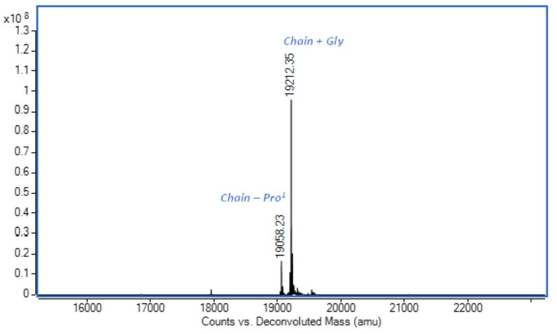Mass Spectrometry - Recombinant mouse IL-11 protein (Active) (AB281802), expandable thumbnail