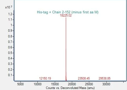 Mass Spectrometry - Recombinant Mouse IL-1F10 protein (His tag) (AB318257)