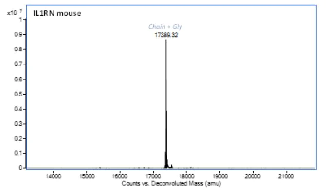 Mass Spectrometry - Recombinant Mouse IL-1RA protein (Active) (AB283475)