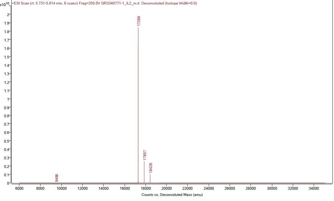 Mass Spectrometry - Recombinant mouse IL-2 protein (Active) (AB259380), expandable thumbnail
