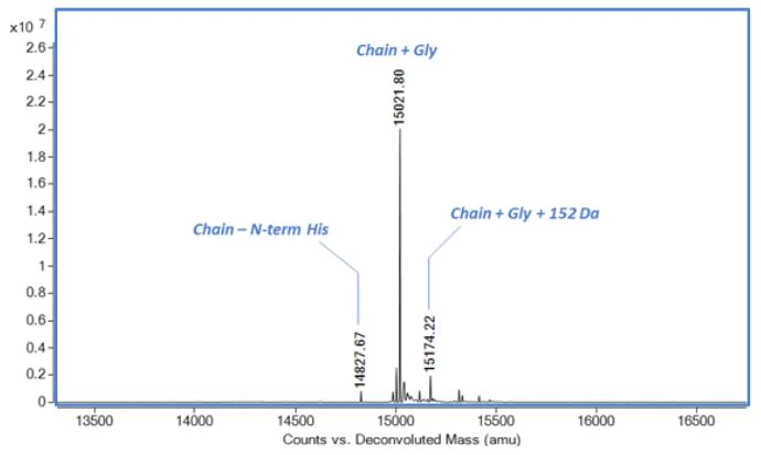 Mass Spectrometry - Recombinant Mouse IL-21 protein (Active) (AB280343)