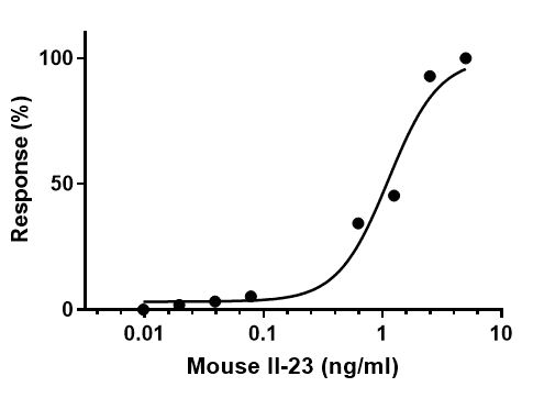 Recombinant mouse IL-23 protein (Active)