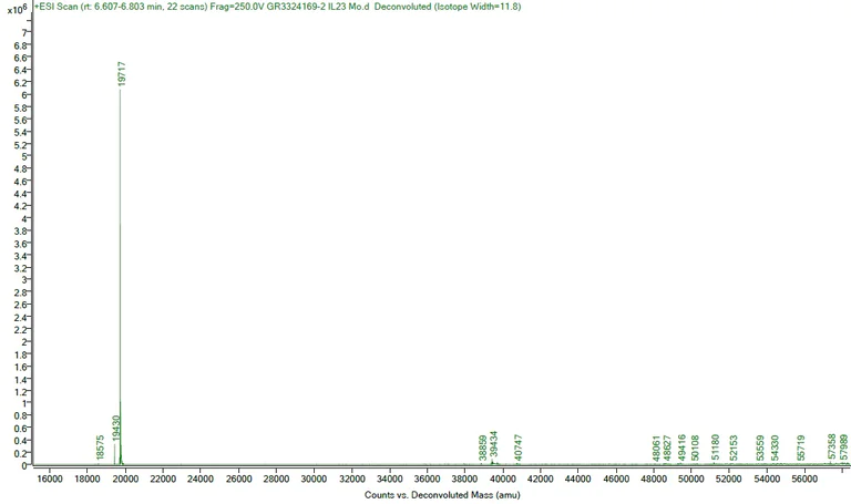 Mass Spectrometry - Recombinant mouse IL-23 protein (Active) (AB259423)