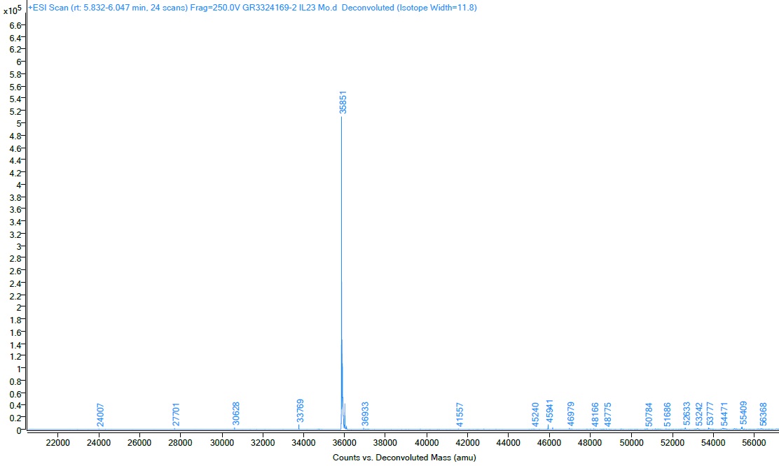 Mass Spectrometry - Recombinant mouse IL-23 protein (Active) (AB259423)