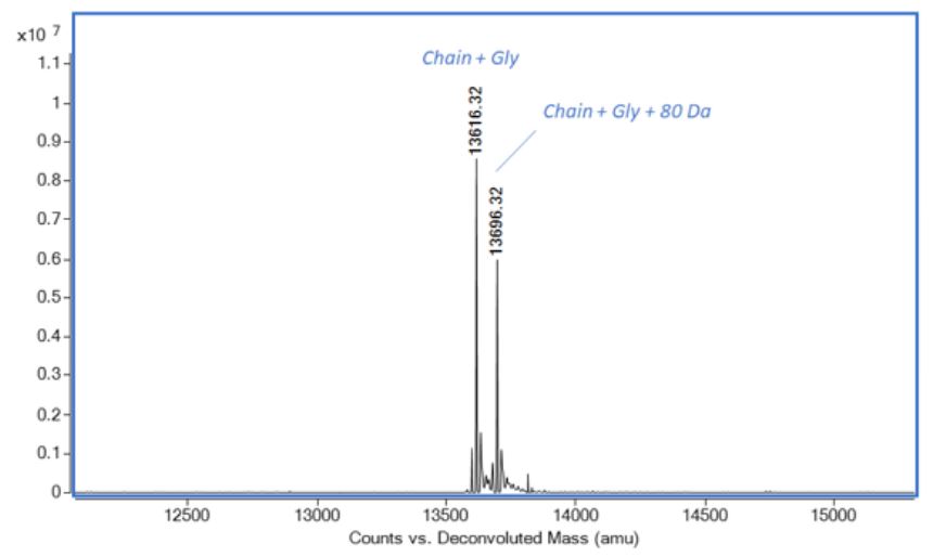 Mass Spectrometry - Recombinant mouse IL-4 protein (Active) (AB259406), expandable thumbnail
