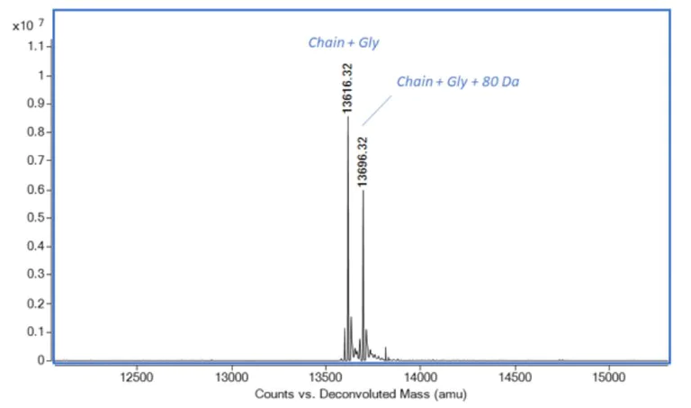 Mass Spectrometry - Recombinant mouse IL-4 protein (Active) (AB259406)