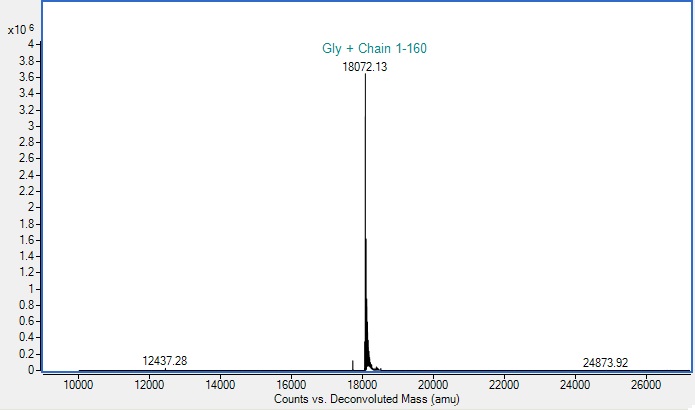 Mass Spectrometry - Recombinant Mouse IL36 alpha/IL-1F6 protein (AB310320)