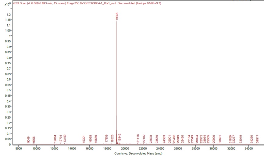 Mass Spectrometry - Recombinant mouse Interferon alpha 1 protein (Active) (AB259386), expandable thumbnail