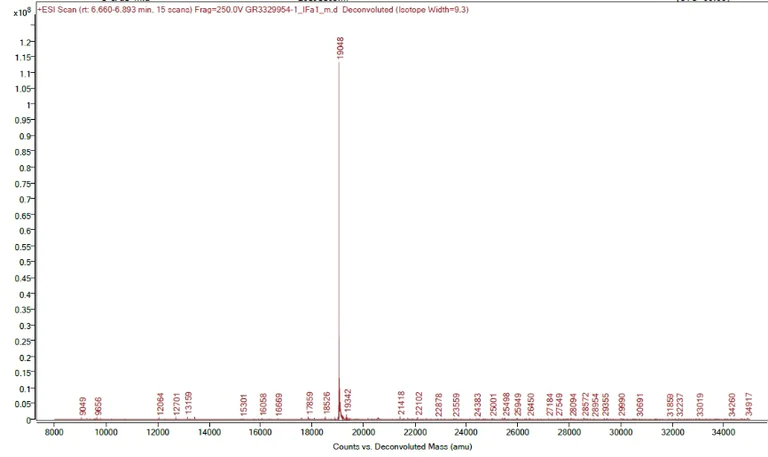 Mass Spectrometry - Recombinant mouse Interferon alpha 1 protein (Active) (AB259386)