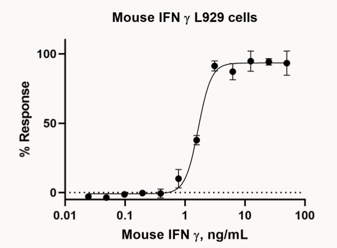 Recombinant mouse Interferon gamma protein (Active)
