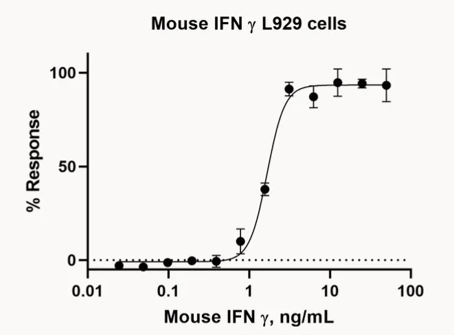 Functional Studies - Recombinant mouse Interferon gamma protein (Active) (AB259378)