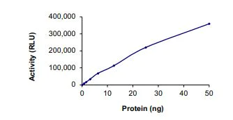 Functional Studies - Recombinant mouse IRE1 protein (Active) (AB268540)