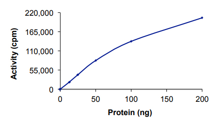 Functional Studies - Recombinant mouse JNK1 protein (GST tag N-Terminus) (AB60304)