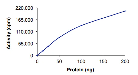 Functional Studies - Recombinant mouse JNK1 protein (GST tag N-Terminus) (AB60304)