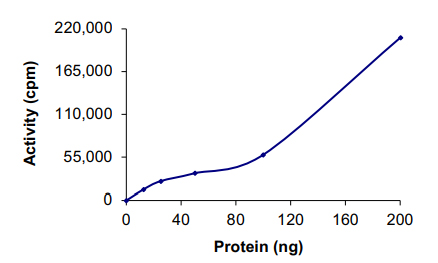 Recombinant mouse JNK3 protein