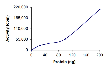 Functional Studies - Recombinant mouse JNK3 protein (AB119734)