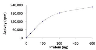 Functional Studies - Recombinant mouse JNK3 protein (AB119734)