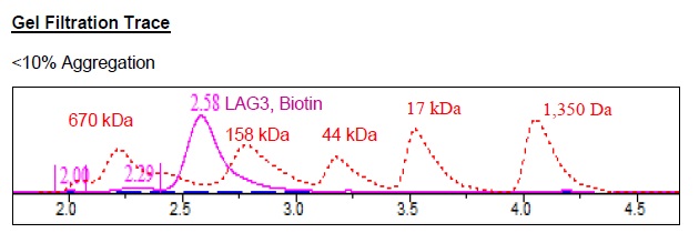 Size Exclusion Chromatography - Recombinant Mouse LAG-3 protein (Tagged) (Biotin) (AB271583)