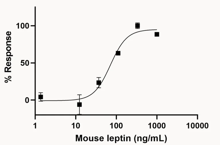 Functional Studies - Recombinant mouse Leptin protein (Active) (AB270069)