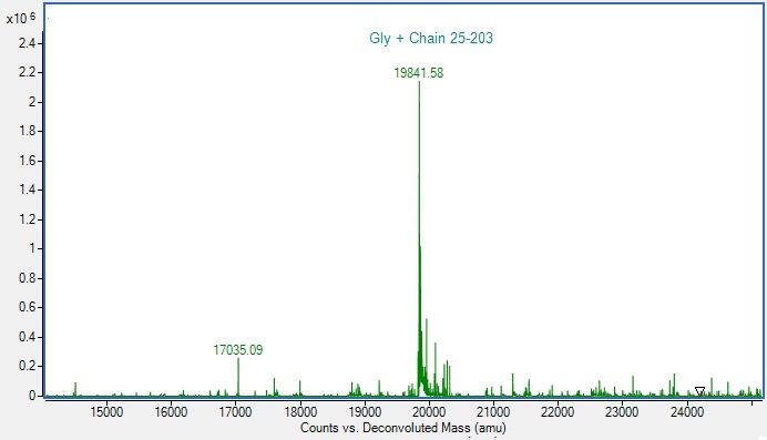 Mass Spectrometry - Recombinant Mouse LIF protein (Active) (AB288791)