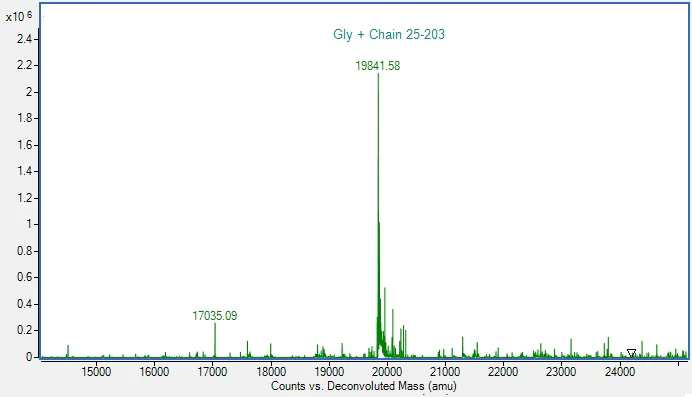 Mass Spectrometry - Recombinant Mouse LIF protein (Active) (AB288791)