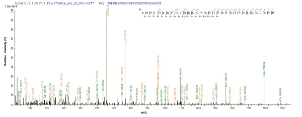 Mass Spectrometry - Recombinant Mouse Liver Arginase protein (His tag) (AB226884)