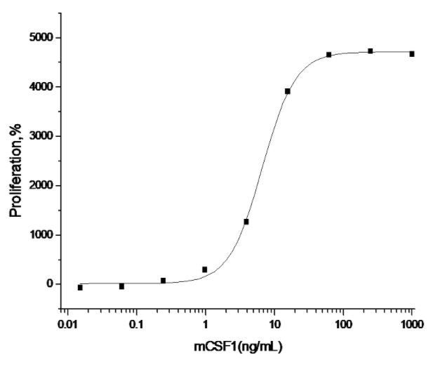 Recombinant mouse M-CSF protein