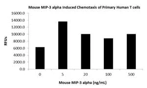 Functional Studies - Recombinant mouse Macrophage Inflammatory Protein 3 alpha (AB72992)