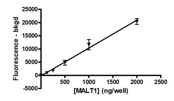 Recombinant mouse MALT1/MLT protein (Active)