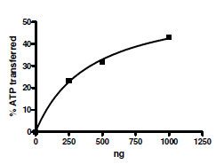 Functional Studies - Recombinant mouse MAP3K8/COT protein (His tag) (AB196418), expandable thumbnail