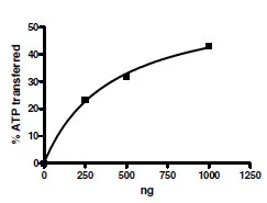 Functional Studies - Recombinant mouse MAP3K8/COT protein (His tag N-Terminus + GST tag N-Terminus) (AB196418)