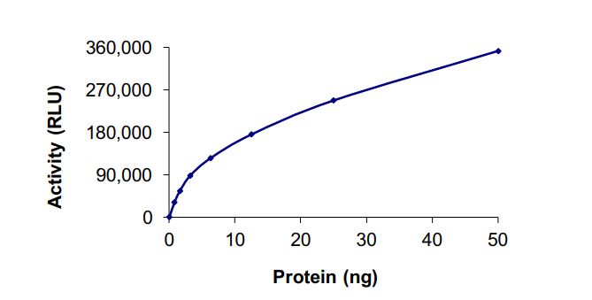 Functional Studies - Recombinant mouse MAP4K1/HPK1 protein (Active) (AB268642), expandable thumbnail