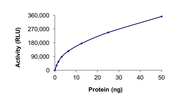 Functional Studies - Recombinant mouse MAP4K1/HPK1 protein (Active) (AB268642)