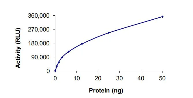 Functional Studies - Recombinant mouse MAP4K1/HPK1 protein (Active) (GST tag N-Terminus) (AB268642)