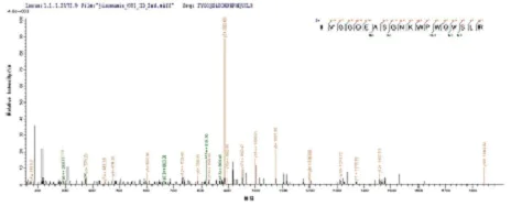 Mass Spectrometry - Recombinant Mouse Mast Cell Tryptase protein (His tag) (AB236929)