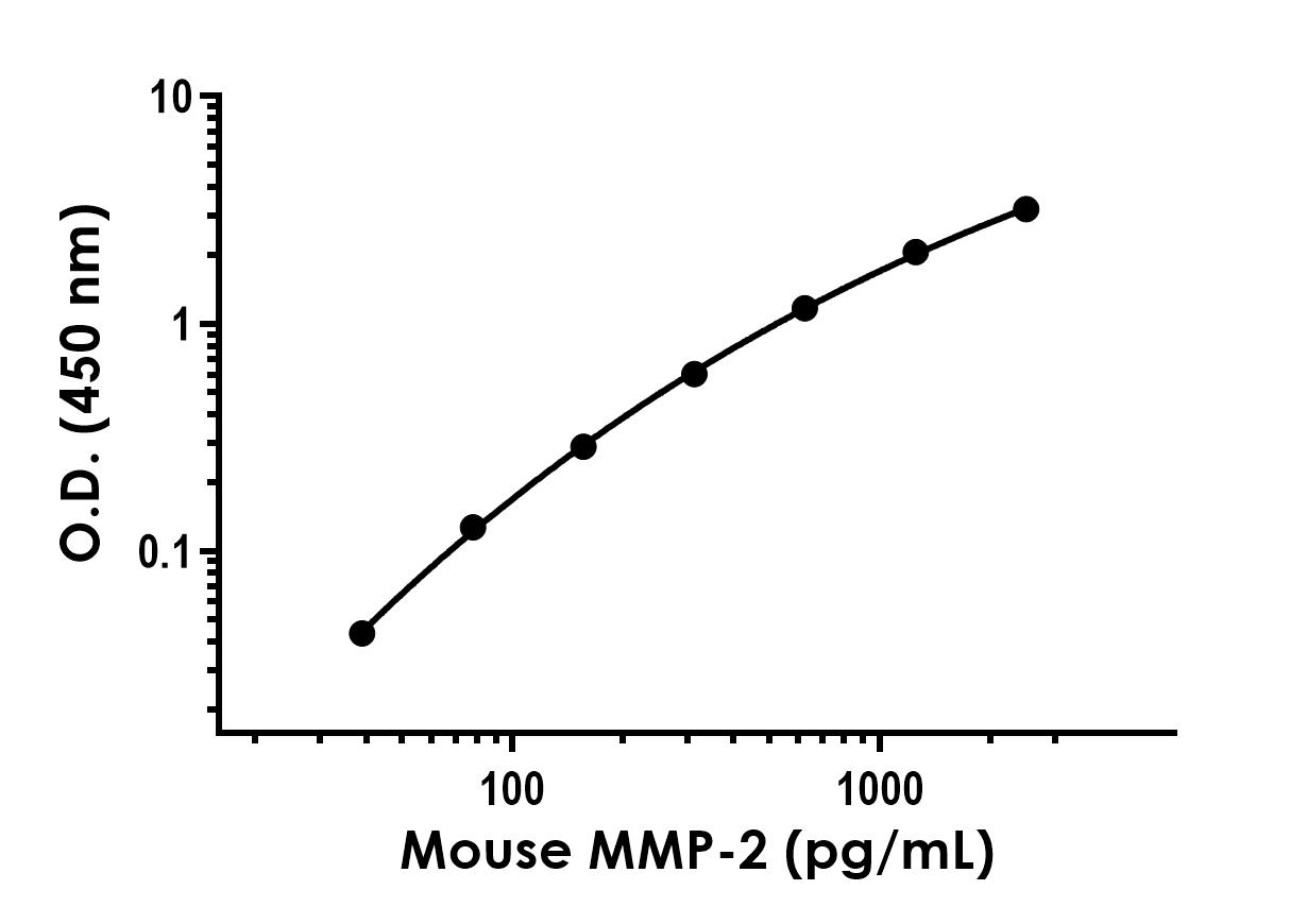 Sandwich ELISA - Recombinant Mouse MMP-2 Protein Standard (His tag) (AB316594), expandable thumbnail