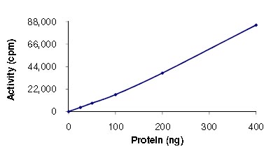 Recombinant mouse MSK2 / RSK-B protein