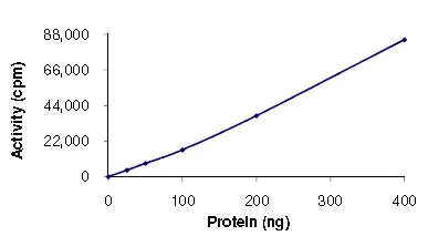 Functional Studies - Recombinant mouse MSK2 / RSK-B protein (AB125610)