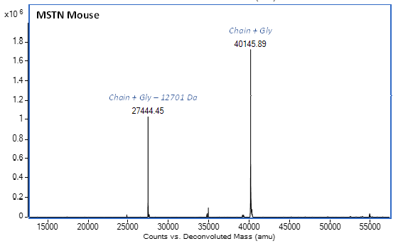 Mass Spectrometry - Recombinant Mouse MSTN Protein (AB283413), expandable thumbnail