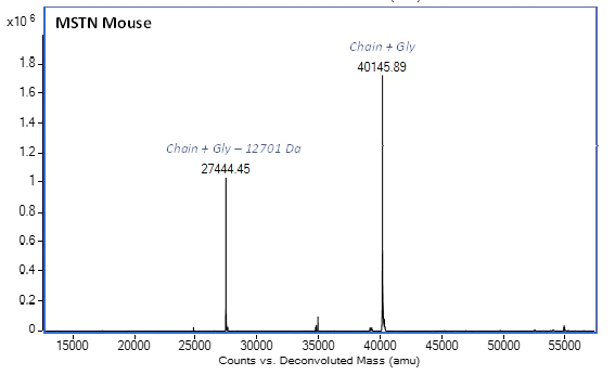 Mass Spectrometry - Recombinant Mouse MSTN Protein (AB283413)