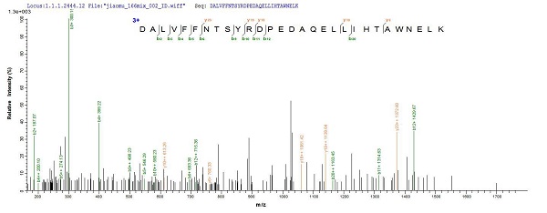 Mass Spectrometry - Recombinant Mouse MUSK protein (Tagged) (AB226426), expandable thumbnail