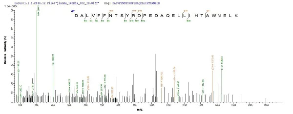 Mass Spectrometry - Recombinant Mouse MUSK protein (Tagged) (AB226426)