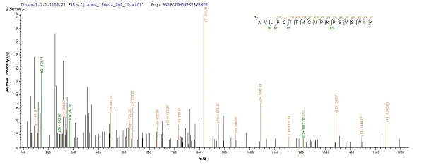 Mass Spectrometry - Recombinant Mouse MUSK protein (Tagged) (AB226426)